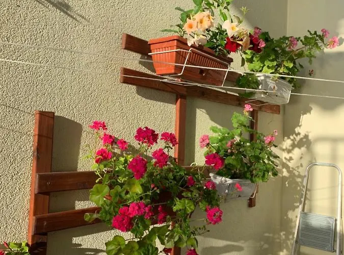 Apartment Sea Sunshine